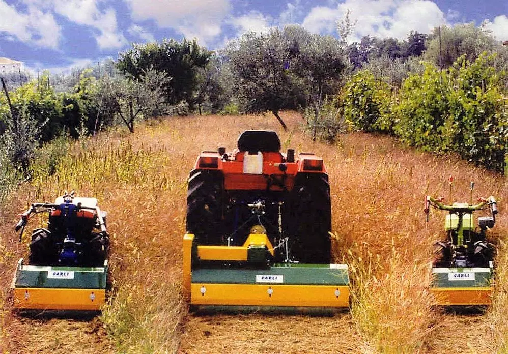Tre trattori con trince Carli al lavoro in un oliveto